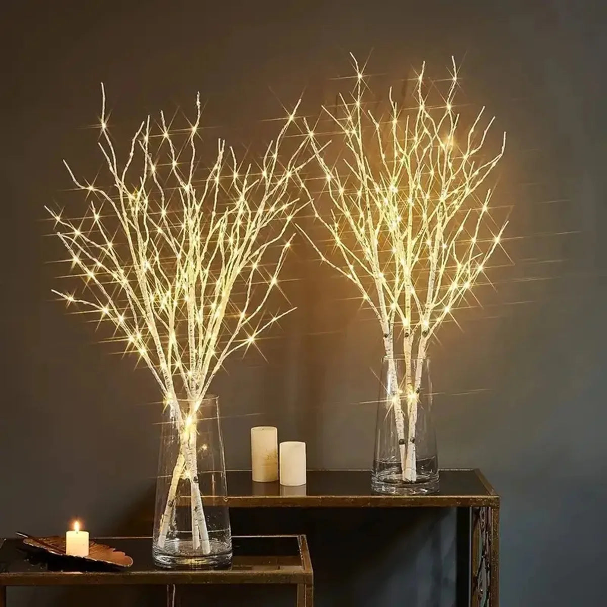 Birch Branch LED Lights